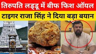 Tirupati Laddu में मिलावट पर टाइगर राजा सिंह का बड़ा बयान । Tirupati laddu news