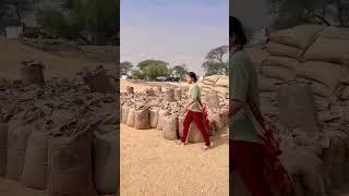 Bappu kole maya sarkar dii  #farmerworld #modernfarmer #farmingcareer #farmingtraditions