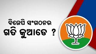 Where Is Odisha BJP Organization's Future Heading? BJP Organizational Election Process Sparks Theory