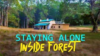 Sultan Forest Rest House, Dhikala Jim Corbett - 4K Video Hindi | हिन्दी