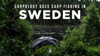 CARPOLOGY GOES CARP FISHING IN SWEDEN! | CARPology On Tour