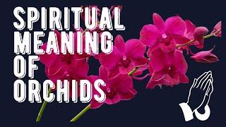 Spiritual meaning of Orchids  and how they can be used in rituals and ceremonies