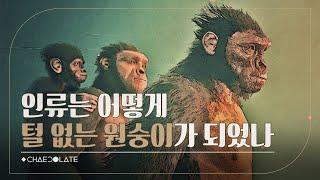 털을 잃고 살을 얻은 인류의 진화사