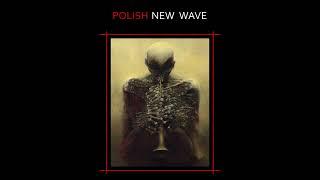 V.A. - Polish New Wave (Full Album)