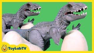 Jurassic World Toys Indominus Rex Dinosaur Action Figure & Play Doh Surprise Dinosaur Eggs