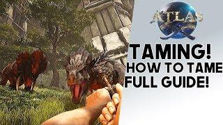 Atlas: HOW TO TAME!! Guide  To Taming ANY Animal You Want!! Tigers, Lions, Horses, & More!