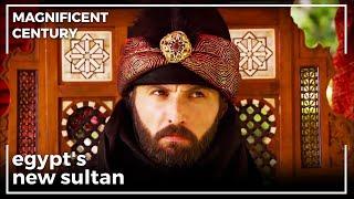 Ahmed Pasha Declares Himself Sultan Of Egypt | Magnificent Century