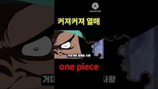 거대거대 열매 (one piece)