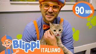 Visita a un rifugio per animali - Blippi incontra cani e gatti | Blippi | Moonbug Kids