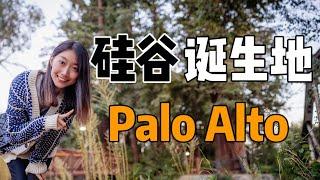 硅谷诞生地-宇宙中心Palo Alto ｜ 湾区城市介绍系列第2期