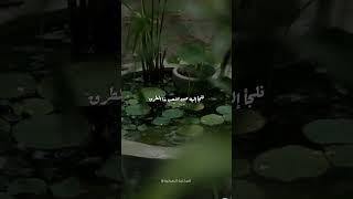 خواطر عابرة | الأب