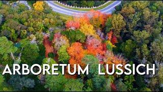 ARBORETUM LUSSICH - Punta Ballena URU