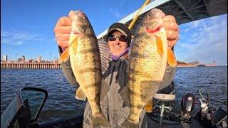 Jumbo Perch Fishing Milwaukee