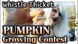 Whistle Thicket Pumpkin Contest