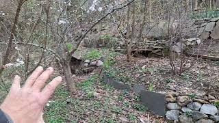 phat ninja foodforest swale system