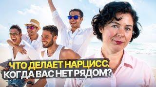 Что делает Нарцисс, когда вас нет рядом