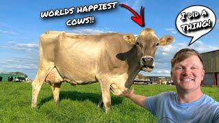 WE FINALLY GOT IT MOVING!!... THE PERFECT RESULT = HAPPY COWS!!