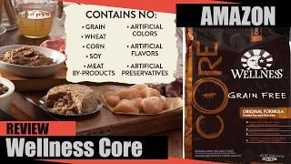 Wellness Core Natural Grain Free Dry Dog Food Review