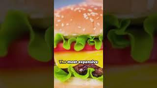 10 weird facts about Hamburger that will Shock you  || Entertainment Guy #foryou