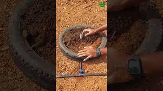 Gardening idea!!Sprinkler method for home garden! #gardening #ideas #short