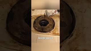 Any Hour Plumber Replacing a Toilet Wax Ring️