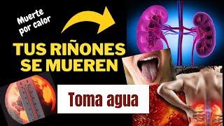 TUS RIÑONES SE MUEREN SI NO TOMAS AGUA (ESPECIALMENTE EN TEMPORADAS DE CALOR)