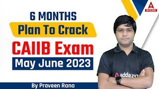 Six Months Plan to Crack CAIIB Exam May June 2023