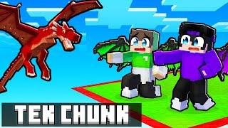 TEK CHUNK'TA EJDERHA OLARAK HAYATTA KALMAK!  - Minecraft