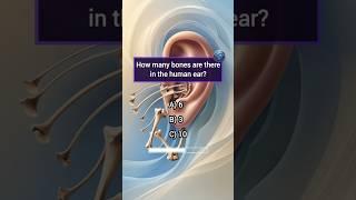 How Well Do You Know Your Body? Take This Anatomy Quiz to Find Out! #anatomyquiz #humanbodyfacts