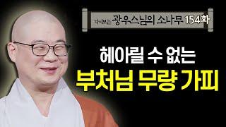 헤아릴 수 없는 부처님 무량 가피 [초심으로 돌아가는 광우스님의 소나무 154회]