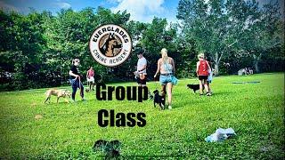 Meet and Greet GROUP CLASS Exercise