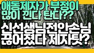 애동제자가 부정이많이탄다해서 신선생님 전안이 문전이막힌다 힘들다 이런말들이맞나요