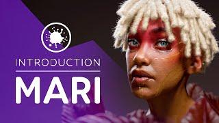 Introduction to Mari for Complete Beginners - 1 Hour Quick Start Guide