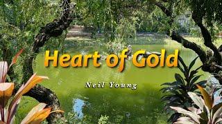 HEART OF GOLD - (Karaoke Version) - in the style of Neil Young