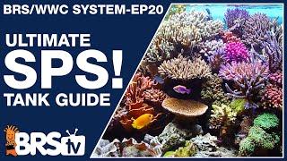 Ep20: The only SPS reef tank setup guide you'll ever need! - The BRS/WWC System