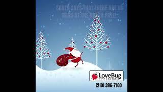 LoveBug Pest Control