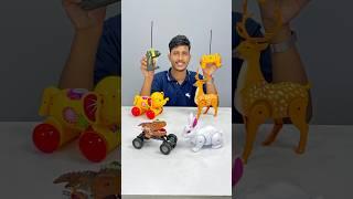 Remote control animals 4 Alag Alag testing