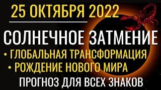 Солнечное затмение 25 октября: Глобальная трансформация - рождение Нового мира. Все знаки