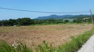 [번호 383785] 충남 논산시 상월면 전원주택지매매 토지급매매 단독주택지급매물 계룡산인근 4필지 관리지역 땅모양 좋음 면적:12,338㎡ 부동산직거래