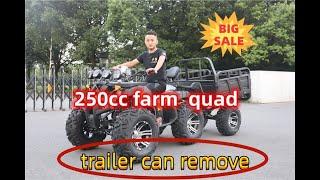 250cc farm atv quads bike for sale atv quad all terrain vehicle