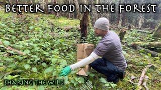 Foraging For Wild Edibles & Making A Big Haul Of Stinging Nettles - A Very Cool Plant