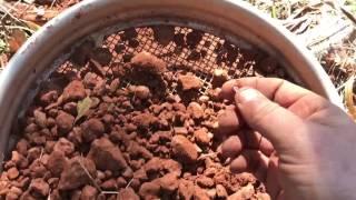 Digging crystals in the Avon Valley, Western Australia