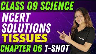 NCERT SOLUTIONS || TISSUES || CHAPTER 06 || ONE SHOT || CLASS 09 || SCIENCE || KRUSHI MA'AM