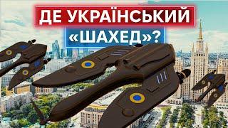 УКРАЇНСЬКІ УДАРНІ БЕЗПІЛОТНИКИ: коли почнеться  масове виробництво?