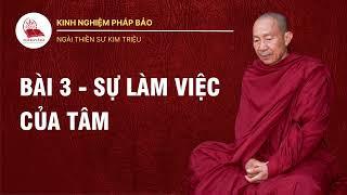 Bài 3: Rèn Luyện Để Hiểu Cách Làm Việc Của Tâm - Kinh Nghiệm Pháp Bảo - Ngài Trưởng Lão Kim Triệu