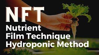 Nutrient Film Technique (NFT) Hydroponic Method - How to Choose The Right Channel?