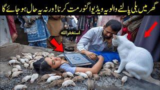 Ghar Main Billi Palnay Walay Hazraat ye Video Ignore Na Karna || Islam Advisor