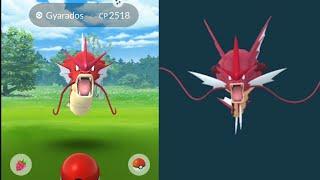 Shiny Magikarp evolves into Mega Gyarados. New Mega Energy.