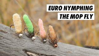 Does Fly Fishing With The MOP FLY Actually Work? // Euro nymphing my local river