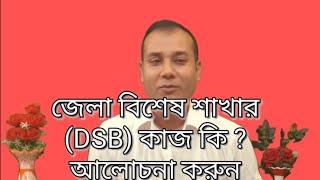 জেলা বিশেষ শাখার (DSB) কাজ কি? আলোচনা করুন|